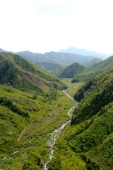 One of the many rivers in Pico Bonito National Park